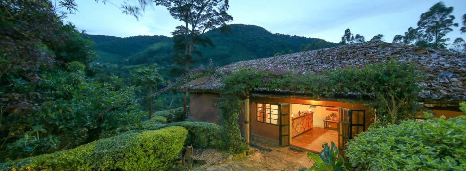 Mahogany-springs-lodge-uganda-accommodations-ngeye-trekking-safaris Mahogany-springs-lodge-uganda-accommodations-ngeye-trekking-safaris