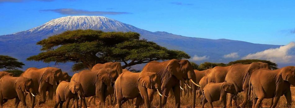 mount-kilimanjaro-tanzania