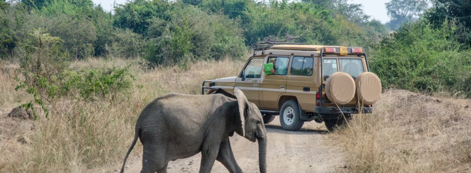 murchison-falls-uganda-game-drives