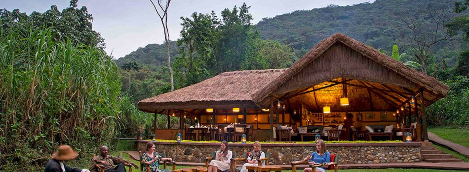 sanctuary-gorilla-forest-camp-bwindi-ngeye-trekking-safaris sanctuary-gorilla-forest-camp-bwindi-ngeye-trekking-safaris