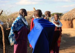 The masai village in Tanzania at Olpopongi cultural village